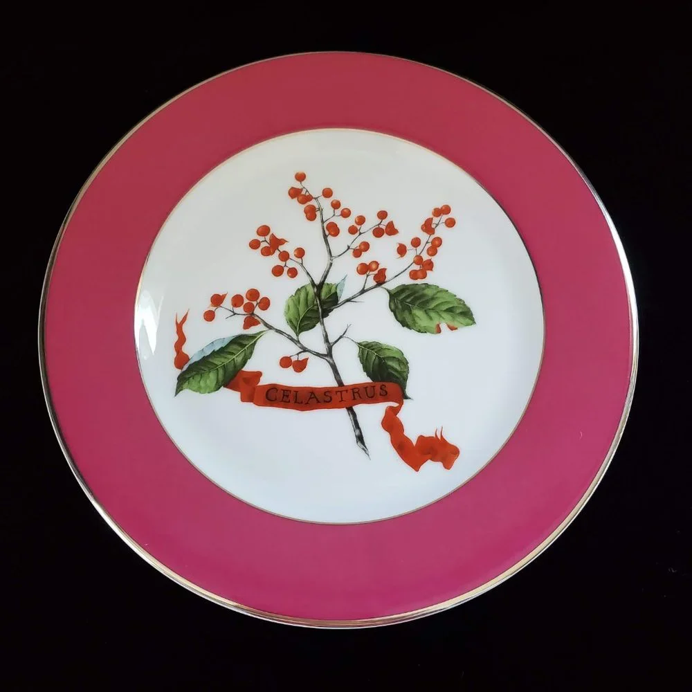 Williams-Sonoma Home Holiday Berry Dessert Plates - Set of 4 - Portugal